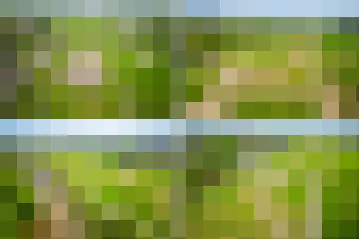 Leksmondhof 20 Amsterdam thumbnail 48