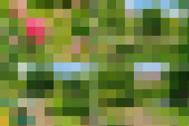 Leksmondhof 20 Amsterdam thumbnail 49