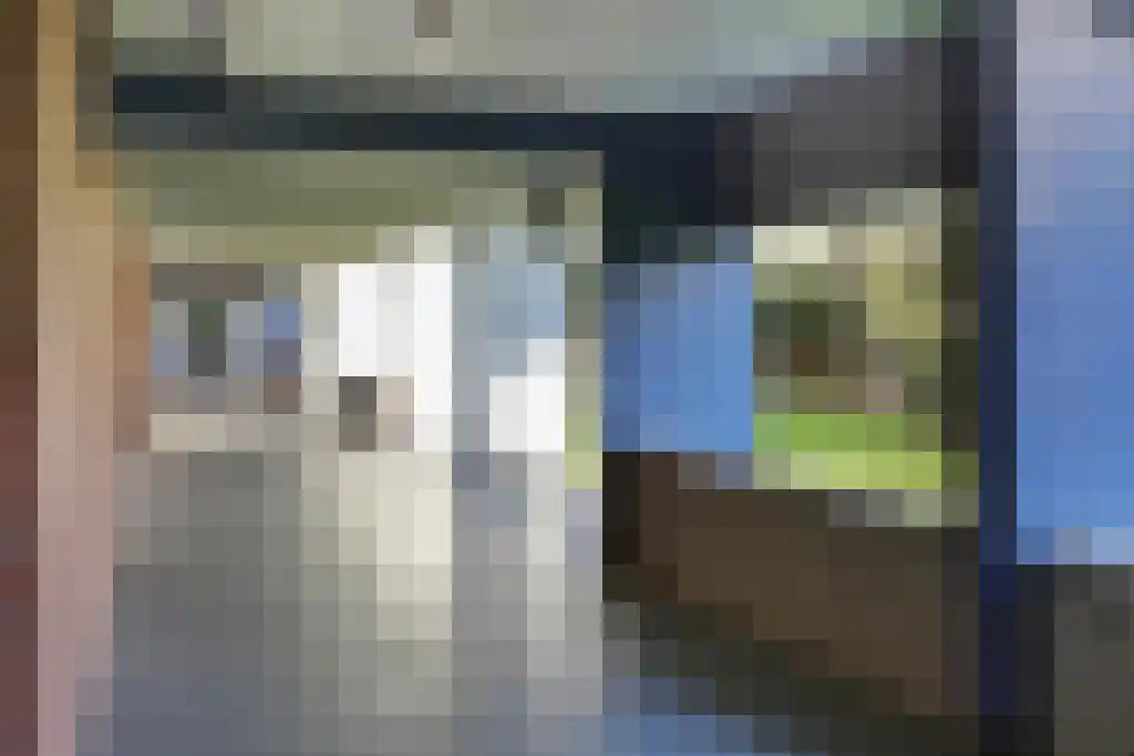 Leksmondhof 217 Amsterdam thumbnail 32