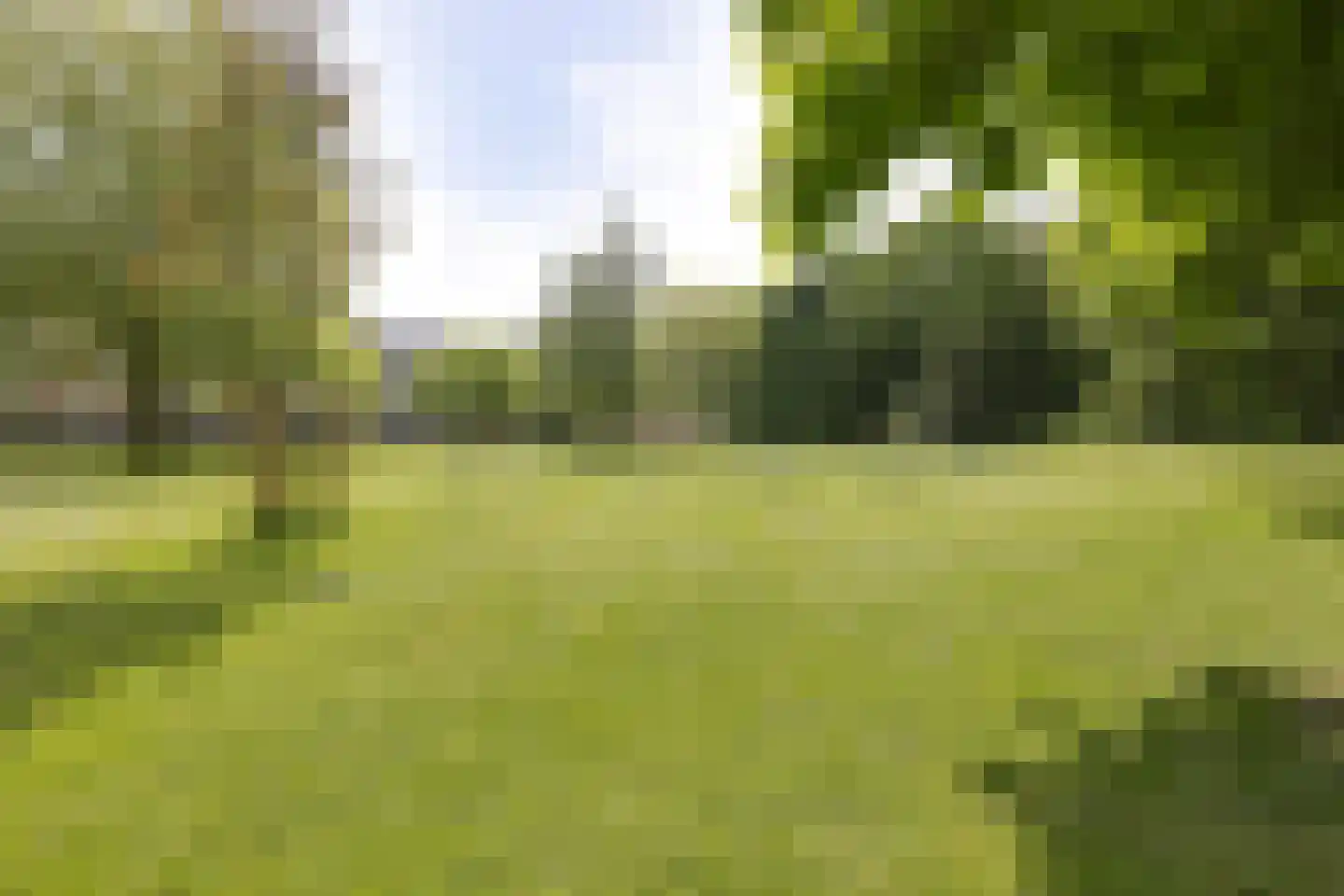 Leksmondhof 217 Amsterdam thumbnail 39
