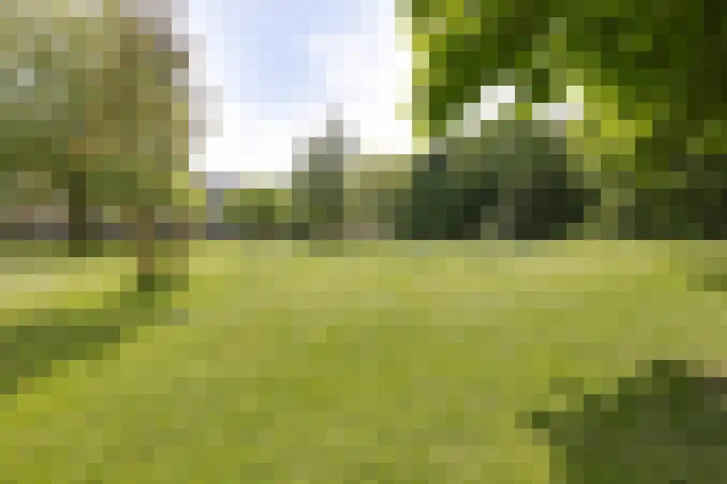 Leksmondhof 217 Amsterdam thumbnail 39
