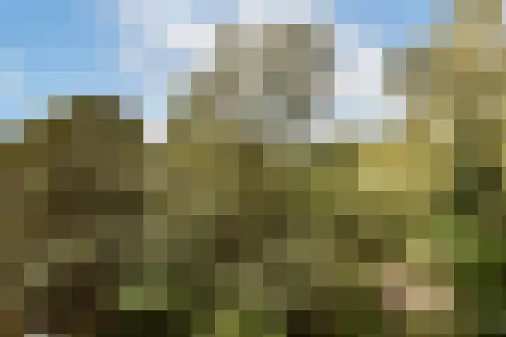 Leksmondhof 220 Amsterdam thumbnail 12