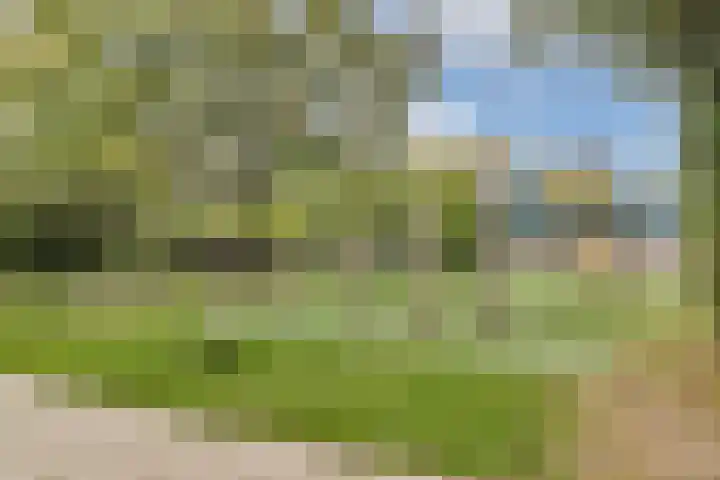 Leksmondhof 220 Amsterdam thumbnail 24