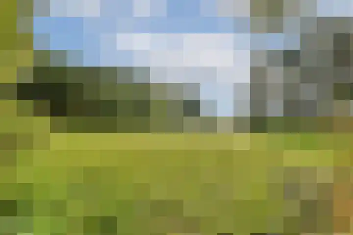 Leksmondhof 220 Amsterdam thumbnail 25