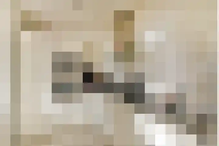 Leksmondhof 220 Amsterdam thumbnail 8