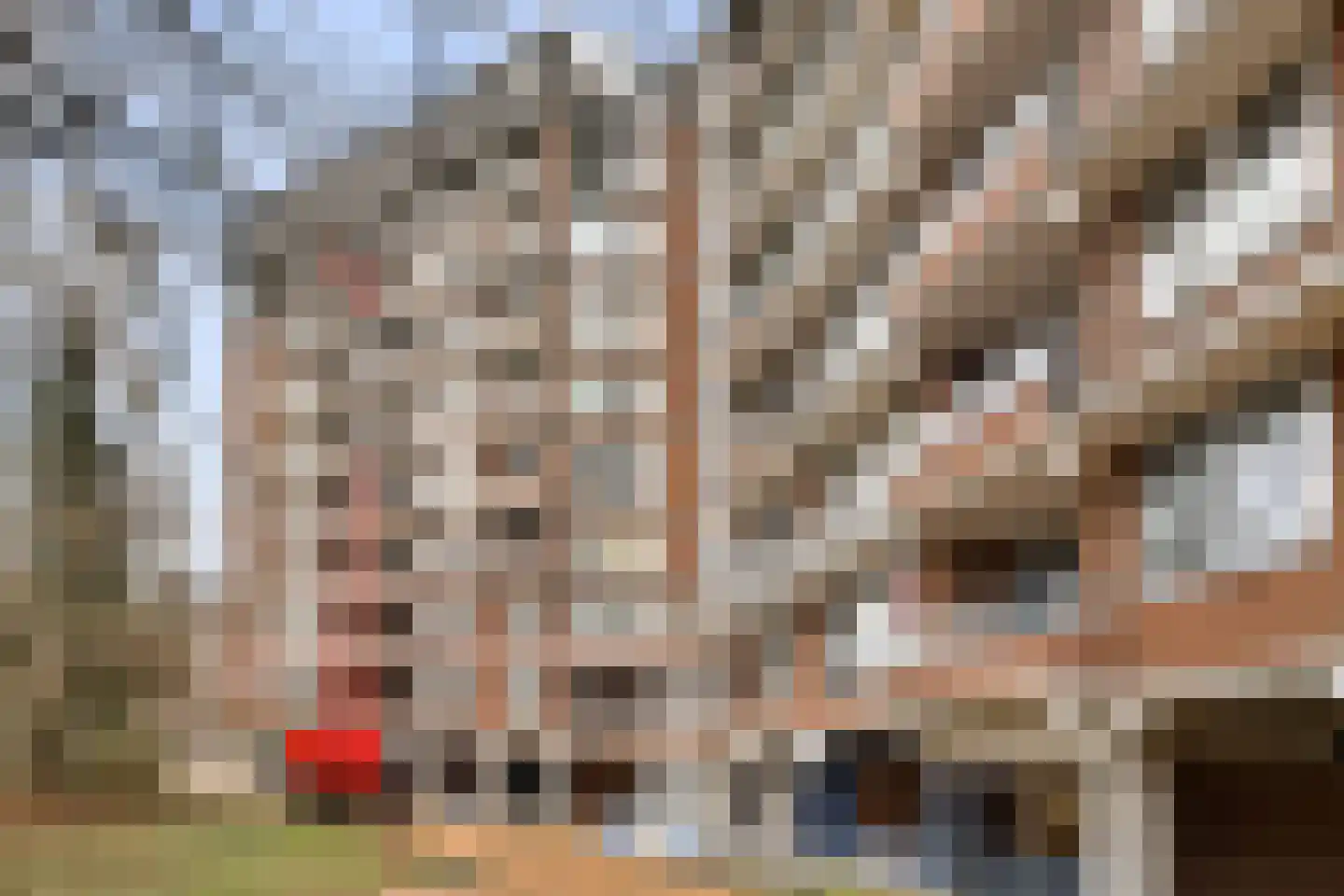 Leksmondhof 228 Amsterdam thumbnail 22