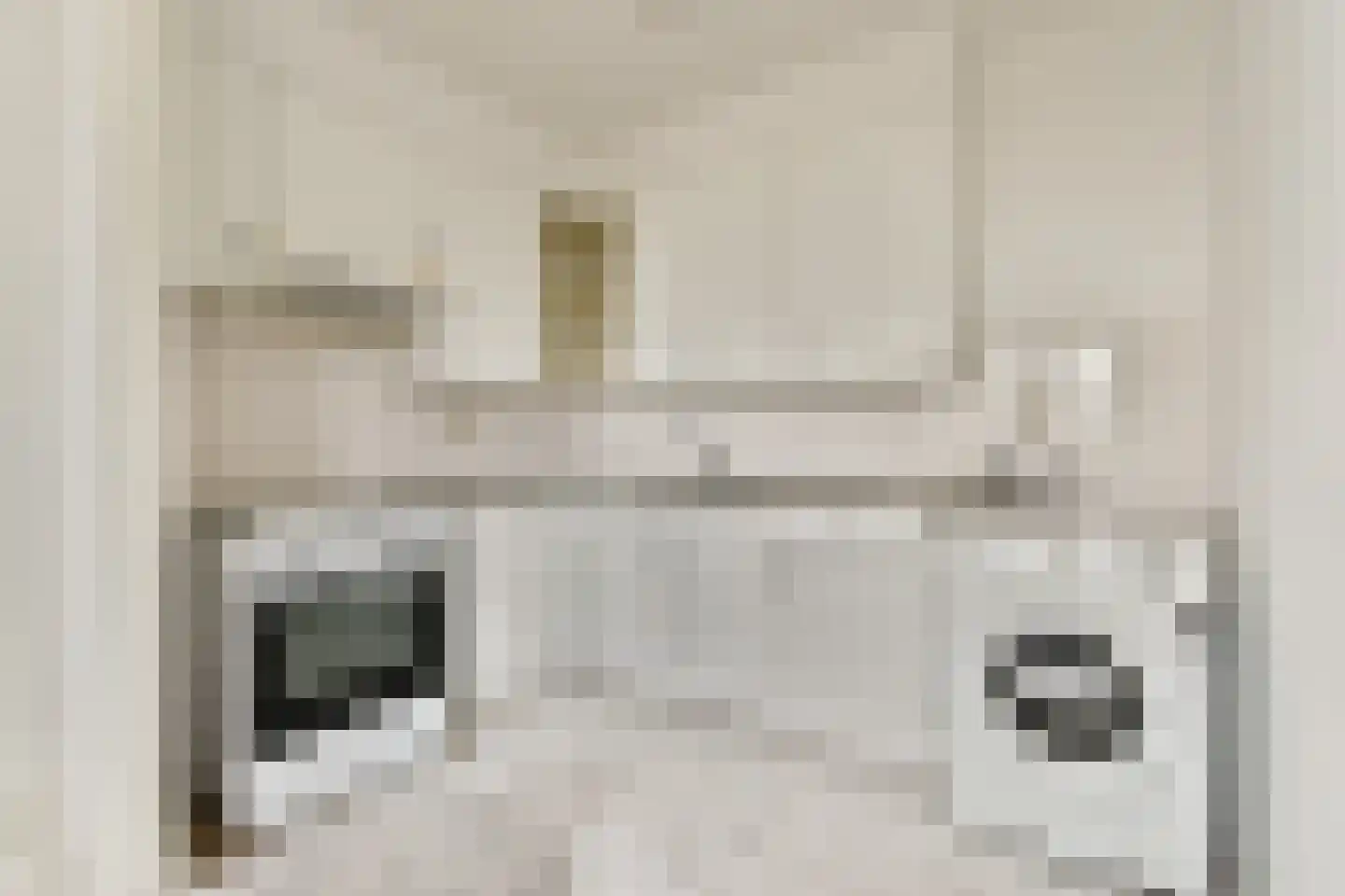 Leksmondhof 228 Amsterdam thumbnail 8