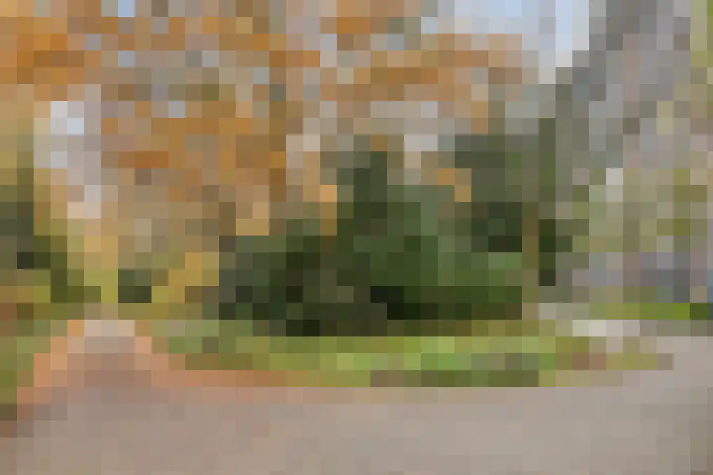 Leksmondhof 238 Amsterdam thumbnail 23