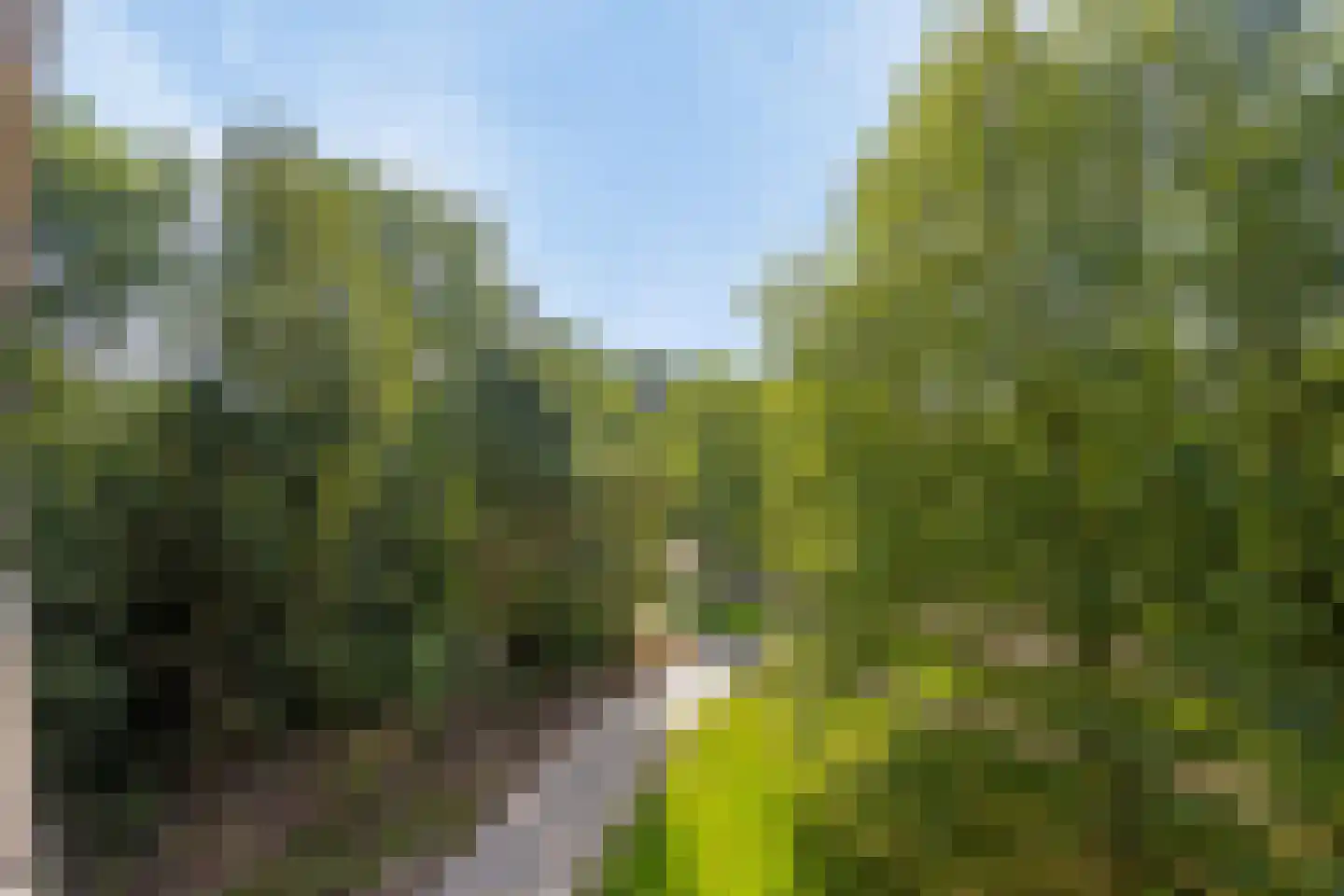 Leksmondhof 238 Amsterdam thumbnail 27