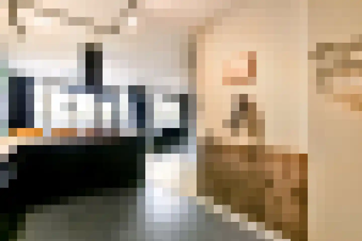 Leksmondhof 254 Amsterdam thumbnail 6