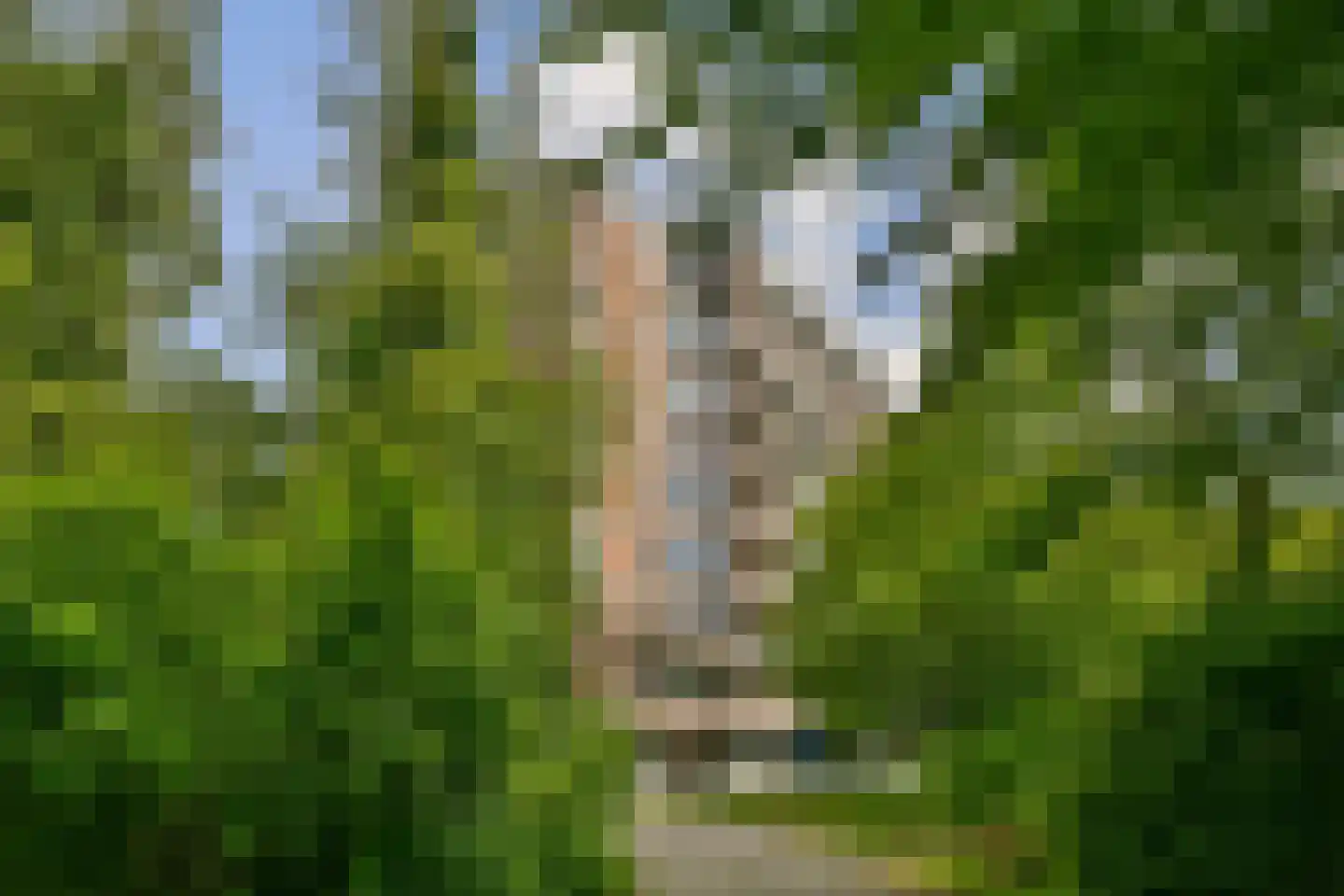 Leksmondhof 26 Amsterdam thumbnail 22