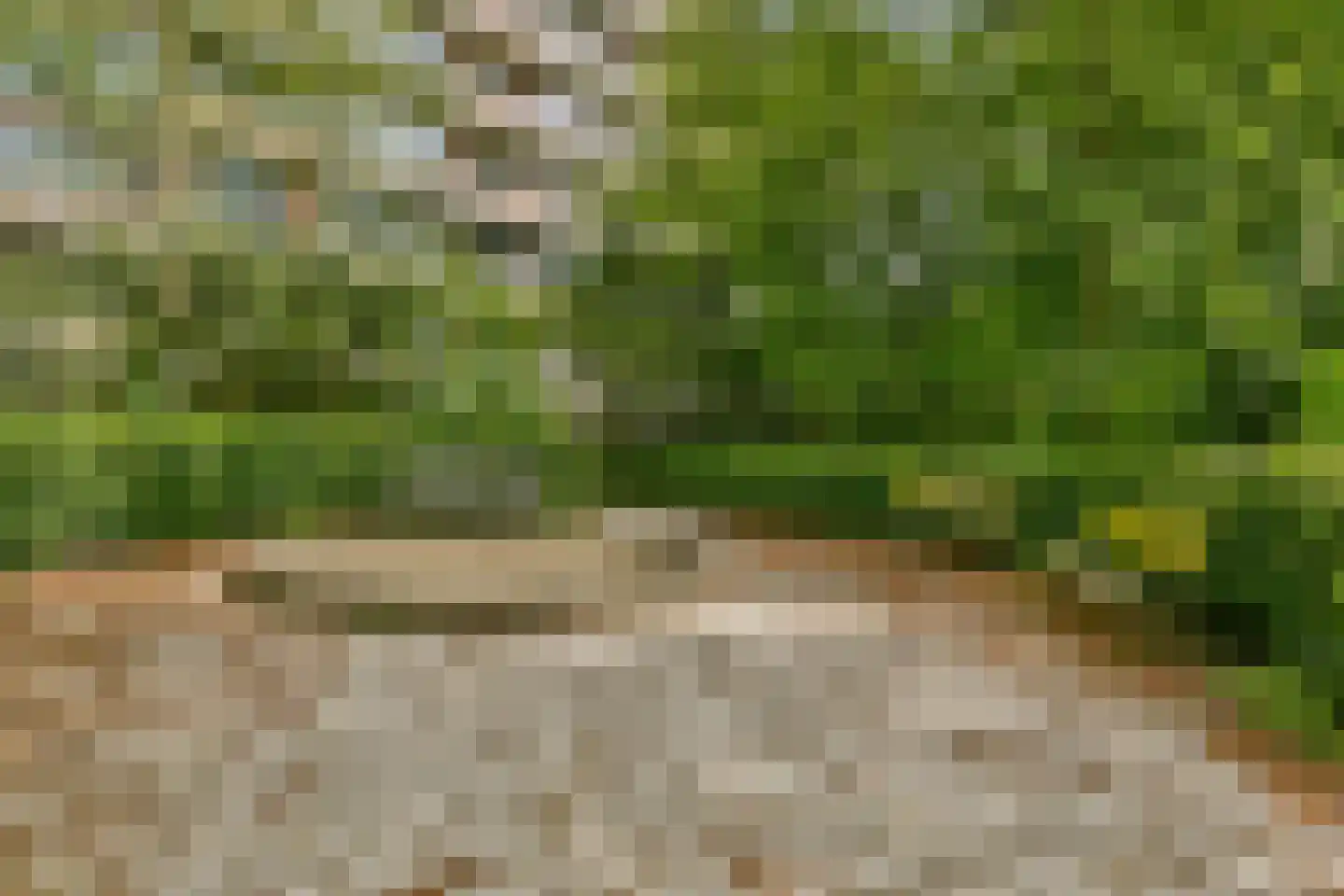 Leksmondhof 26 Amsterdam thumbnail 24