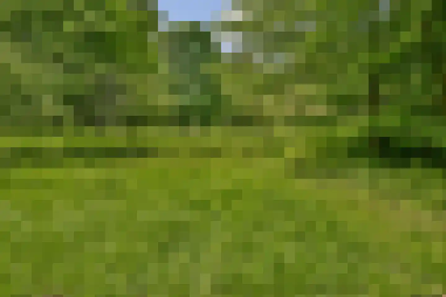 Leksmondhof 26 Amsterdam thumbnail 26