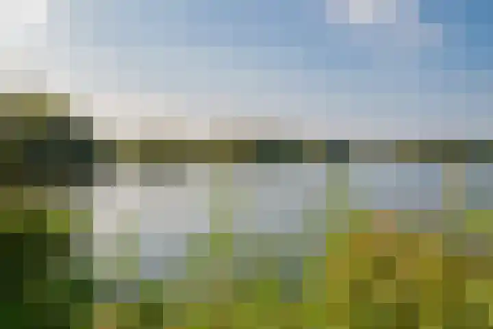 Leksmondhof 270 Amsterdam thumbnail 25