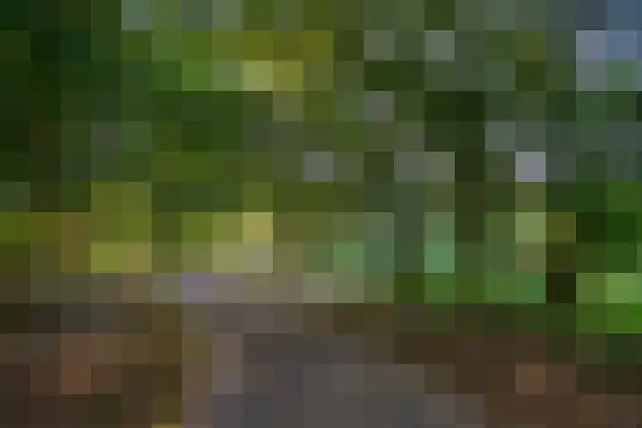 Leksmondhof 270 Amsterdam thumbnail 26