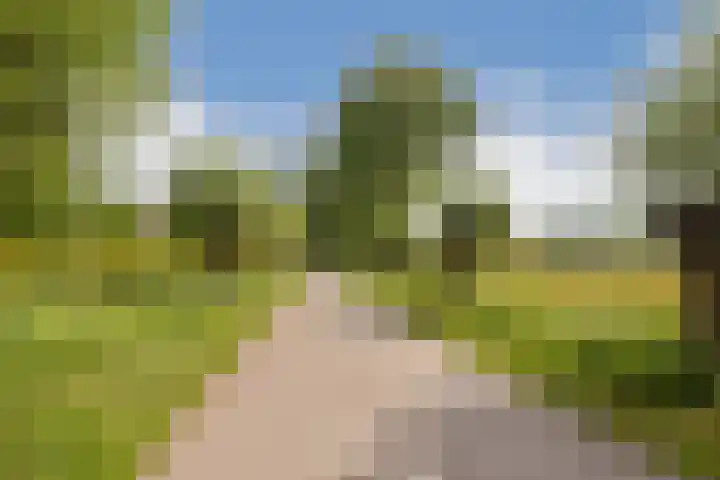 Leksmondhof 270 Amsterdam thumbnail 27