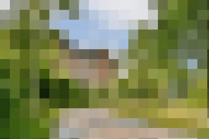 Leksmondhof 28 Amsterdam thumbnail 20