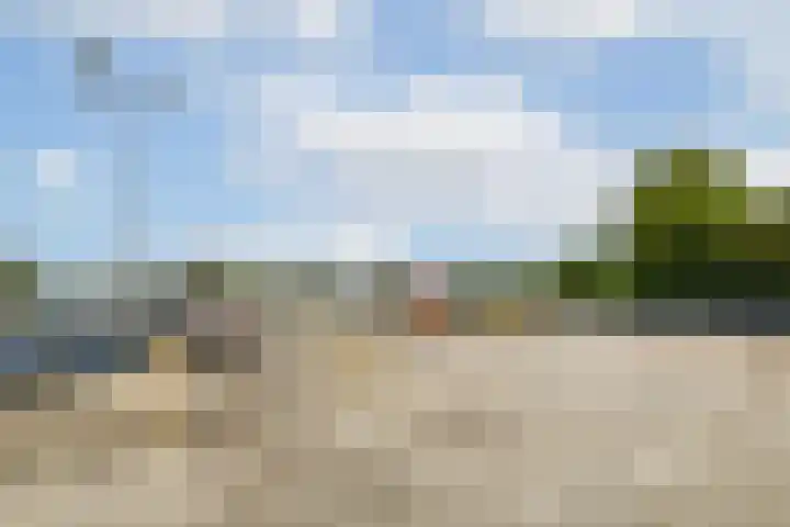 Leksmondhof 28 Amsterdam thumbnail 23