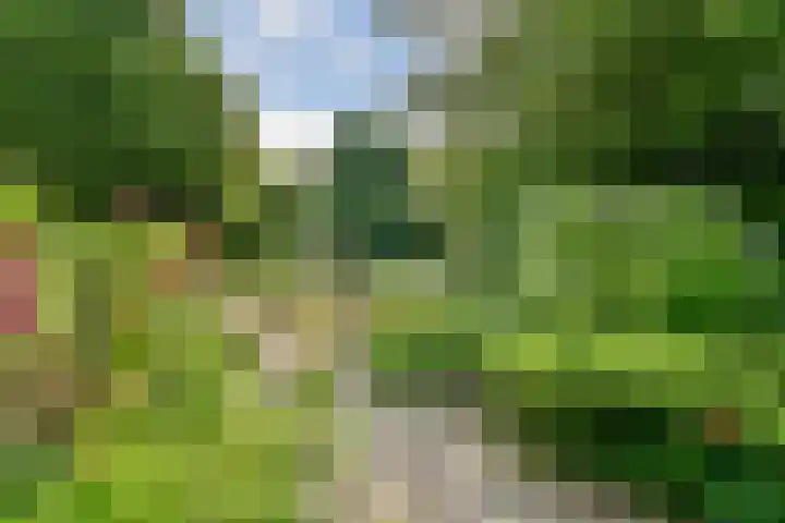 Leksmondhof 28 Amsterdam thumbnail 24