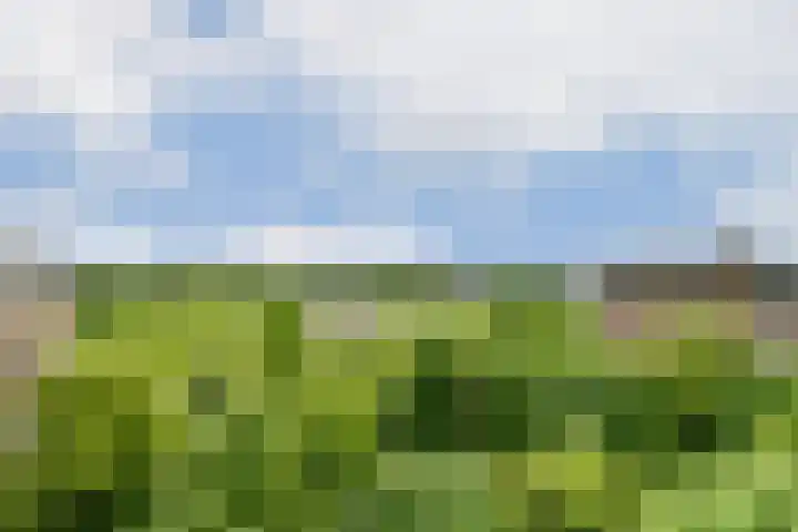 Leksmondhof 28 Amsterdam thumbnail 4
