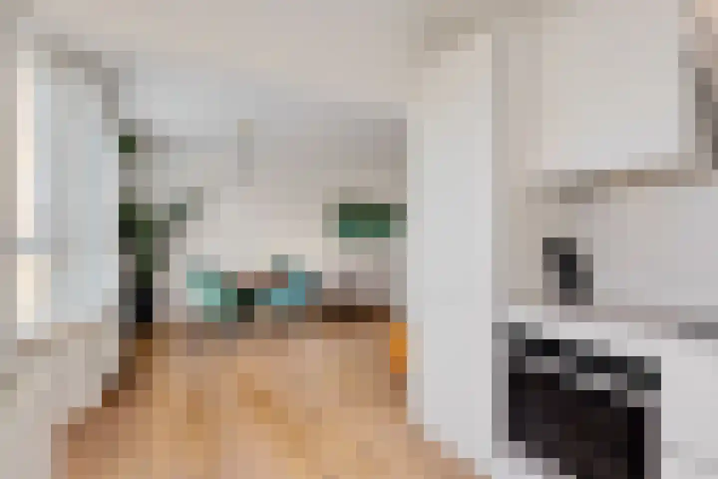 Leksmondhof 296 Amsterdam thumbnail 12