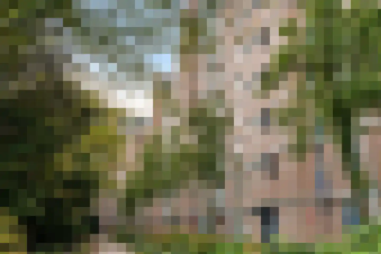 Leksmondhof 296 Amsterdam thumbnail 29