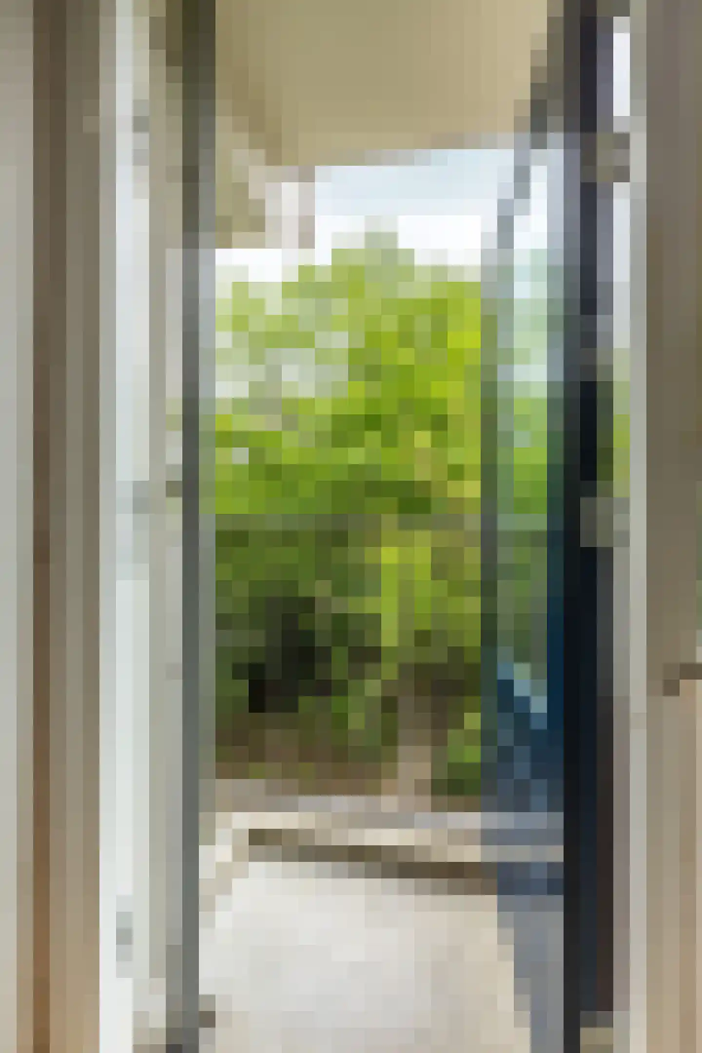 Leksmondhof 313 Amsterdam thumbnail 10