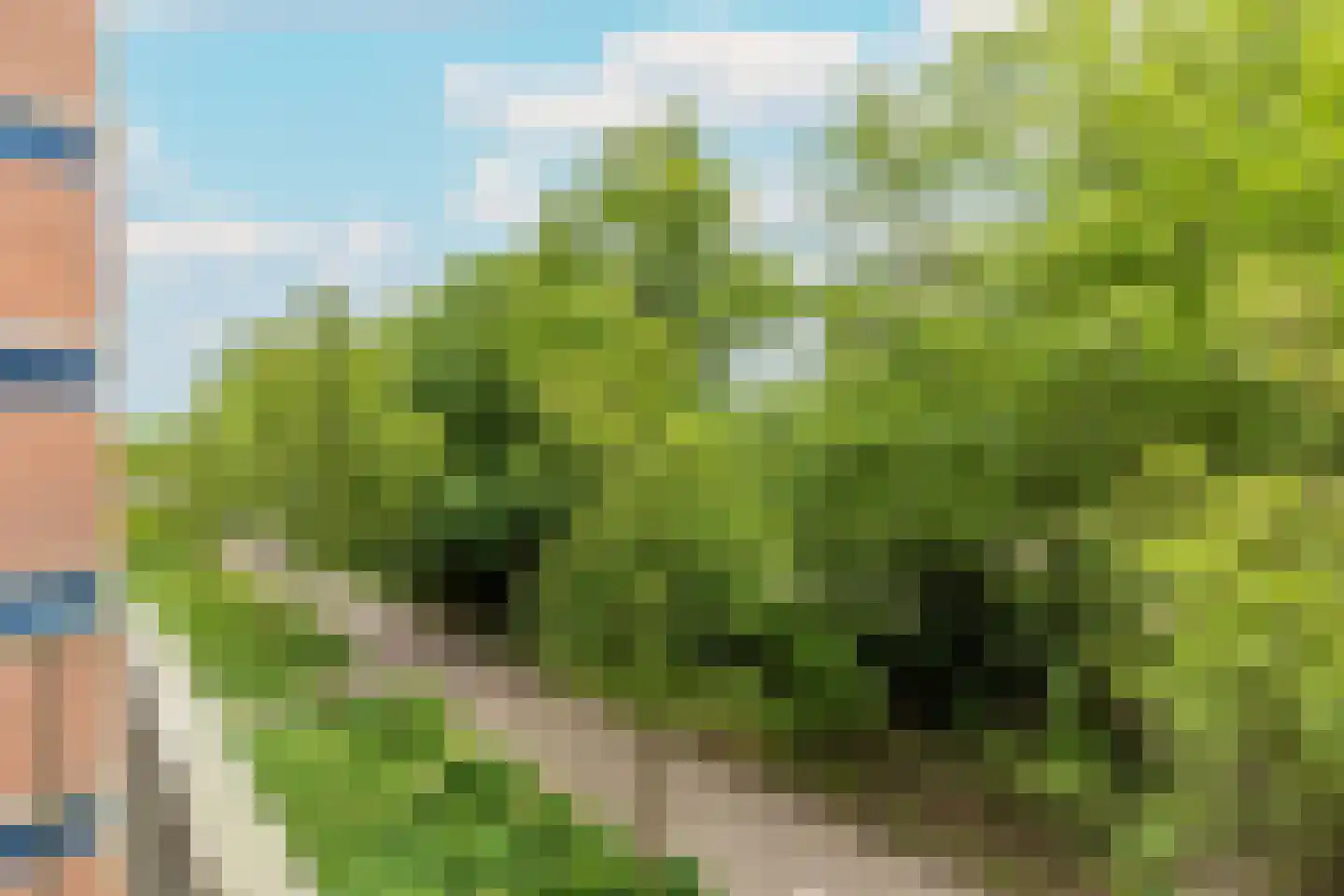Leksmondhof 313 Amsterdam thumbnail 11