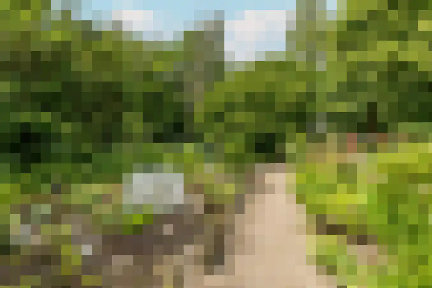 Leksmondhof 313 Amsterdam thumbnail 17
