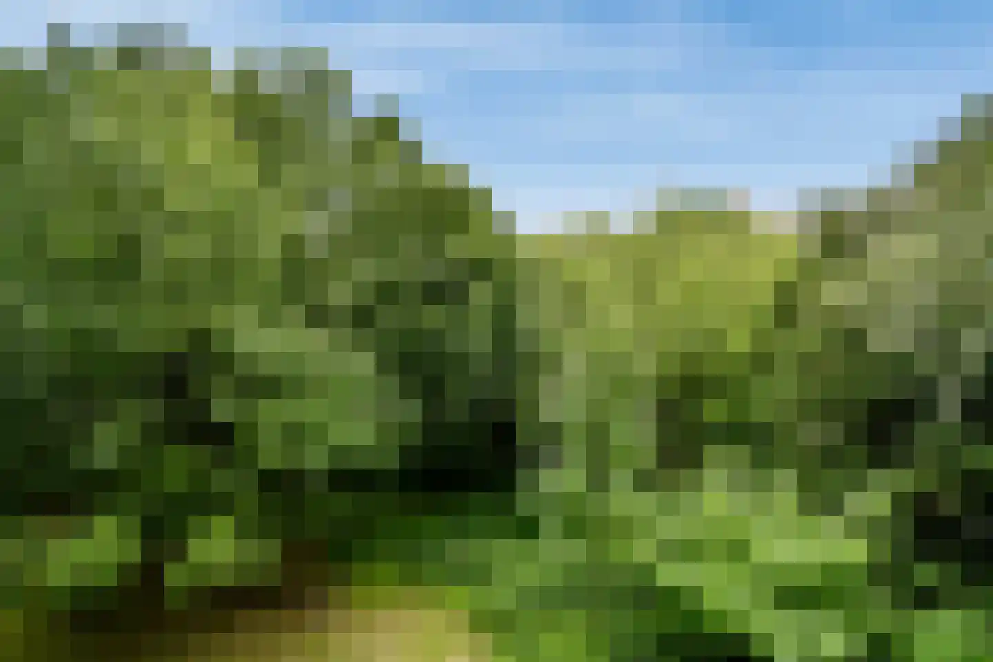 Leksmondhof 32 Amsterdam thumbnail 12