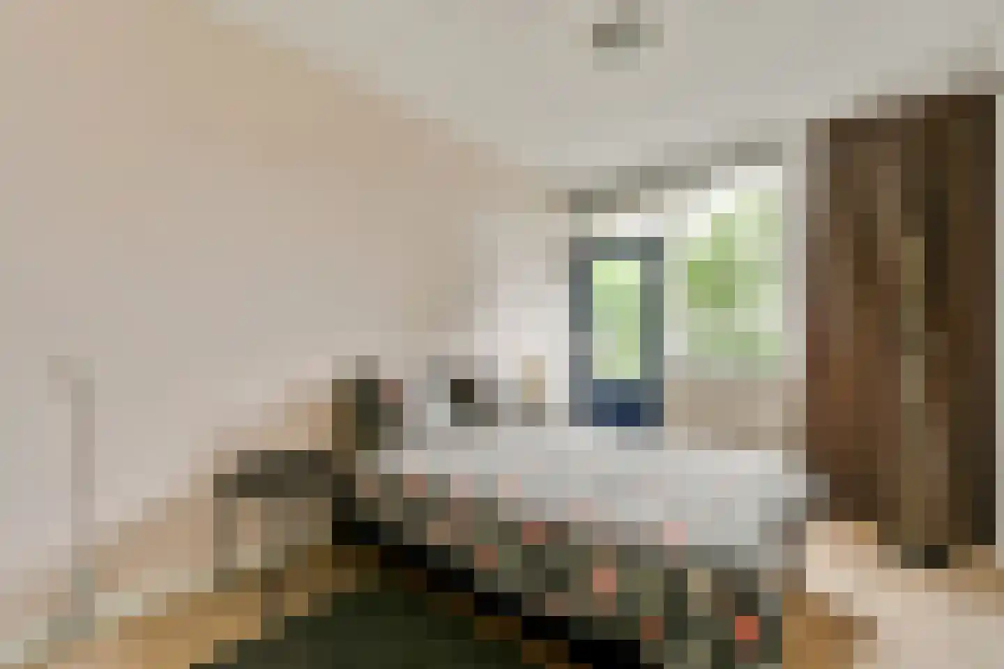 Leksmondhof 32 Amsterdam thumbnail 14