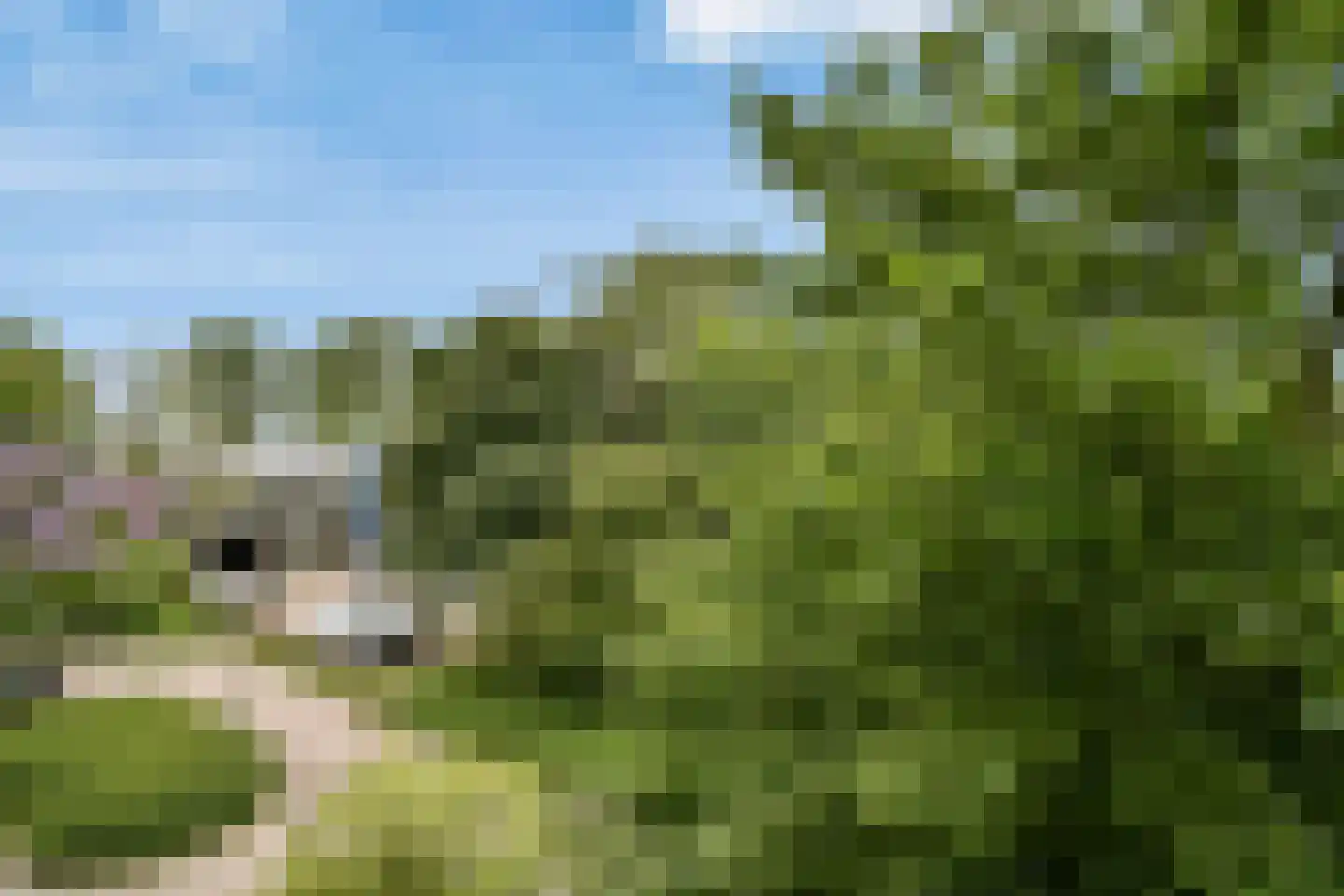 Leksmondhof 32 Amsterdam thumbnail 18