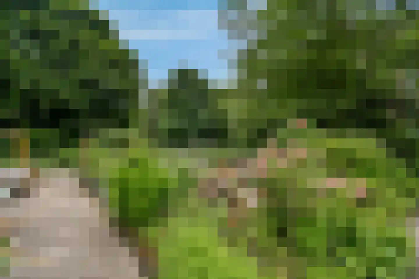 Leksmondhof 32 Amsterdam thumbnail 24