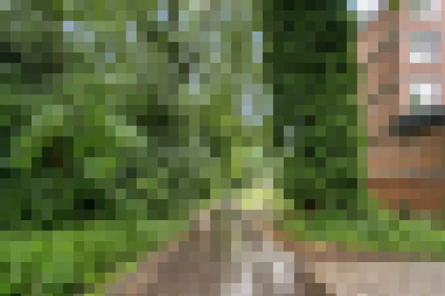 Leksmondhof 32 Amsterdam thumbnail 25