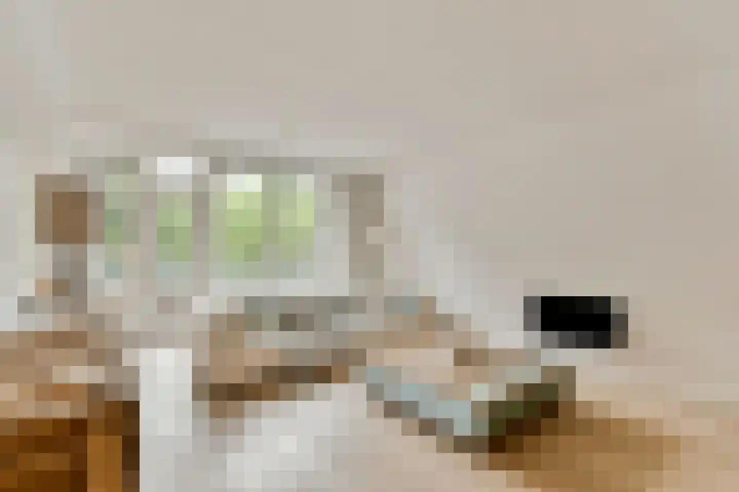 Leksmondhof 32 Amsterdam thumbnail 7