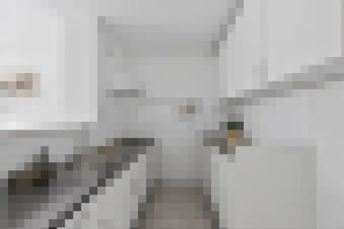 Leksmondhof 320 Amsterdam thumbnail 4