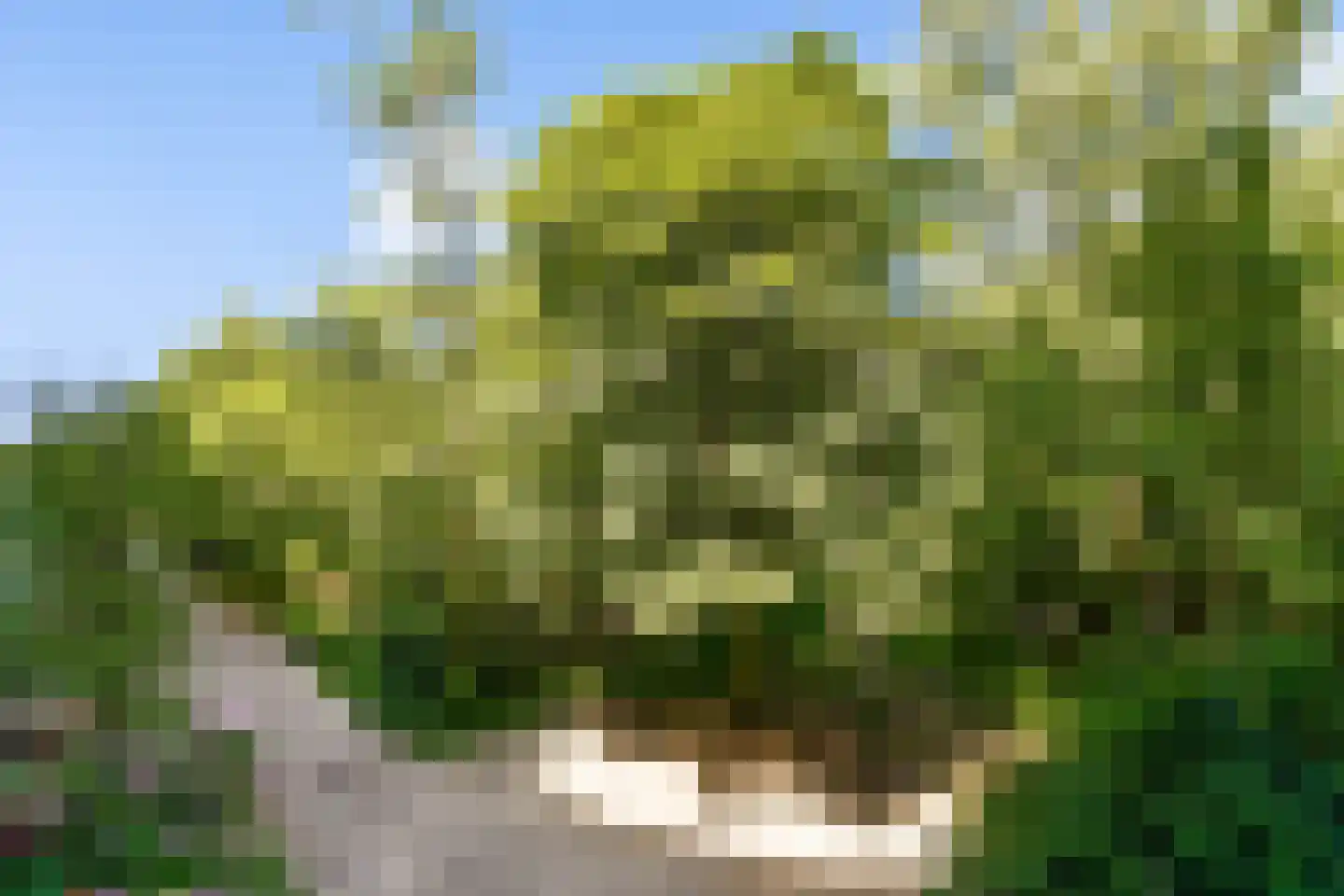 Leksmondhof 339 Amsterdam thumbnail 10