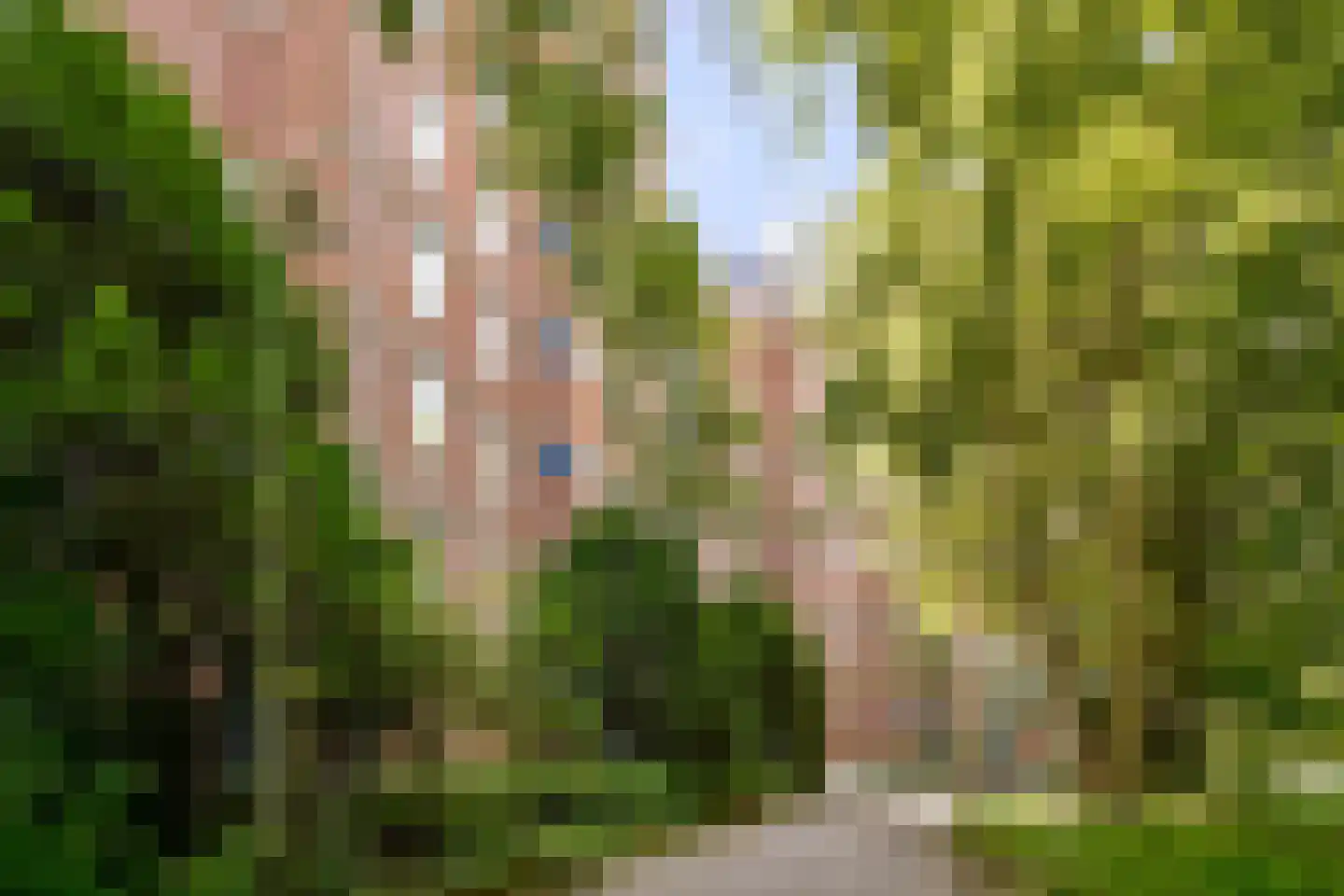 Leksmondhof 339 Amsterdam thumbnail 21