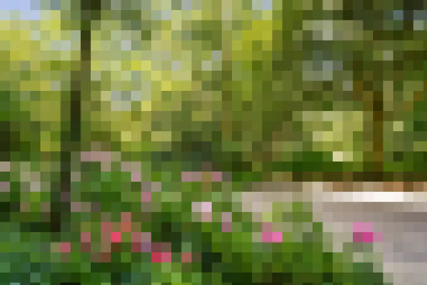 Leksmondhof 339 Amsterdam thumbnail 23