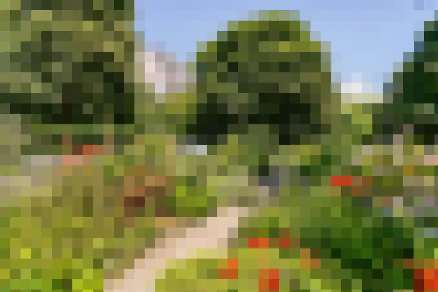Leksmondhof 339 Amsterdam thumbnail 24