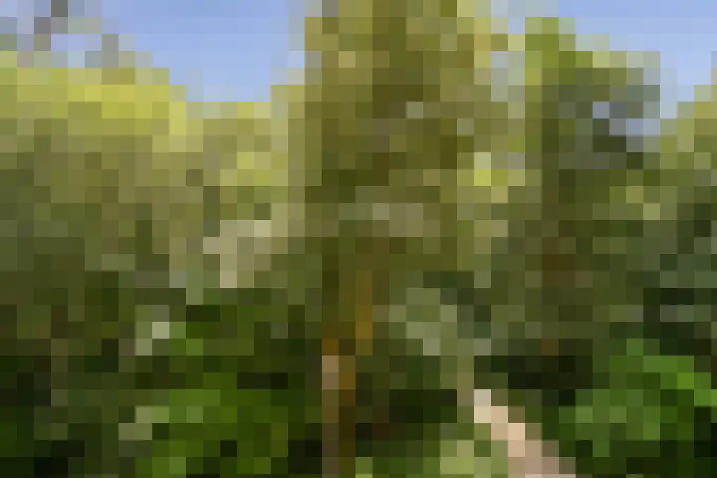 Leksmondhof 339 Amsterdam thumbnail 5