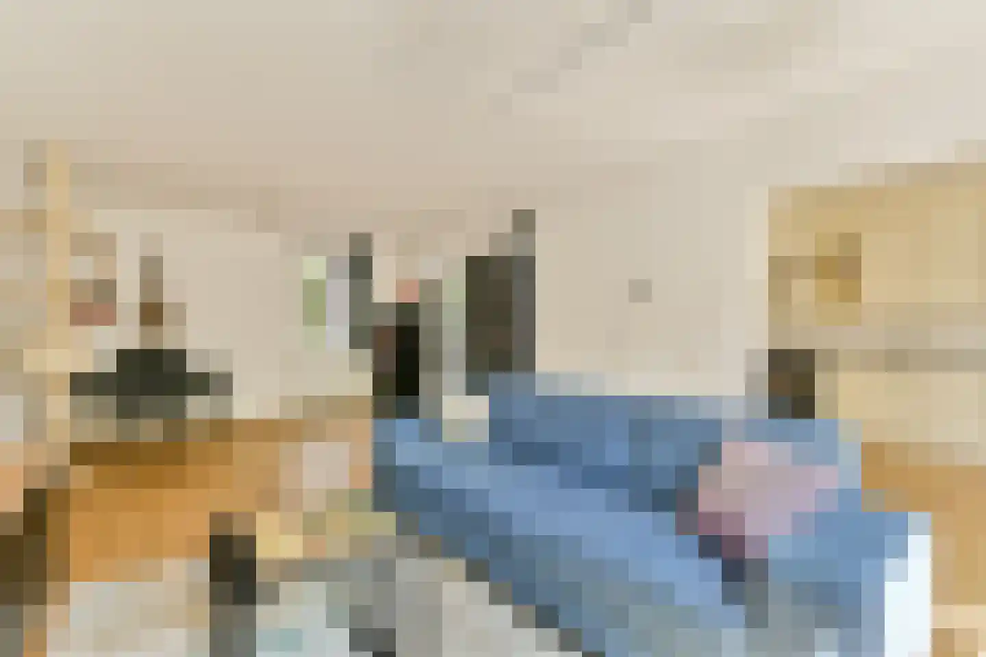 Leksmondhof 339 Amsterdam thumbnail 6