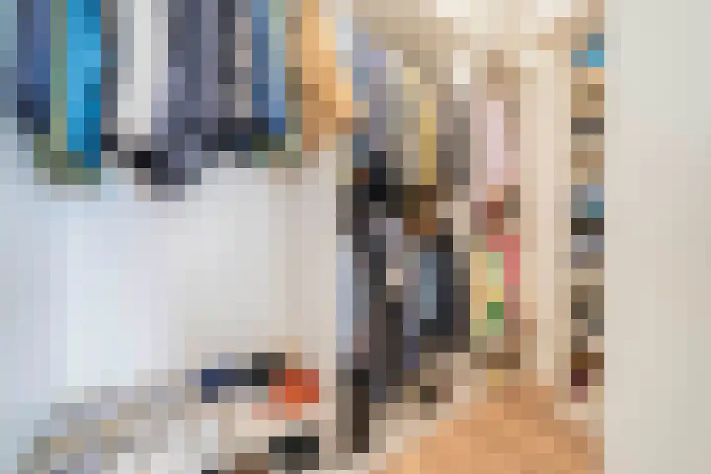 Leksmondhof 356 Amsterdam thumbnail 13