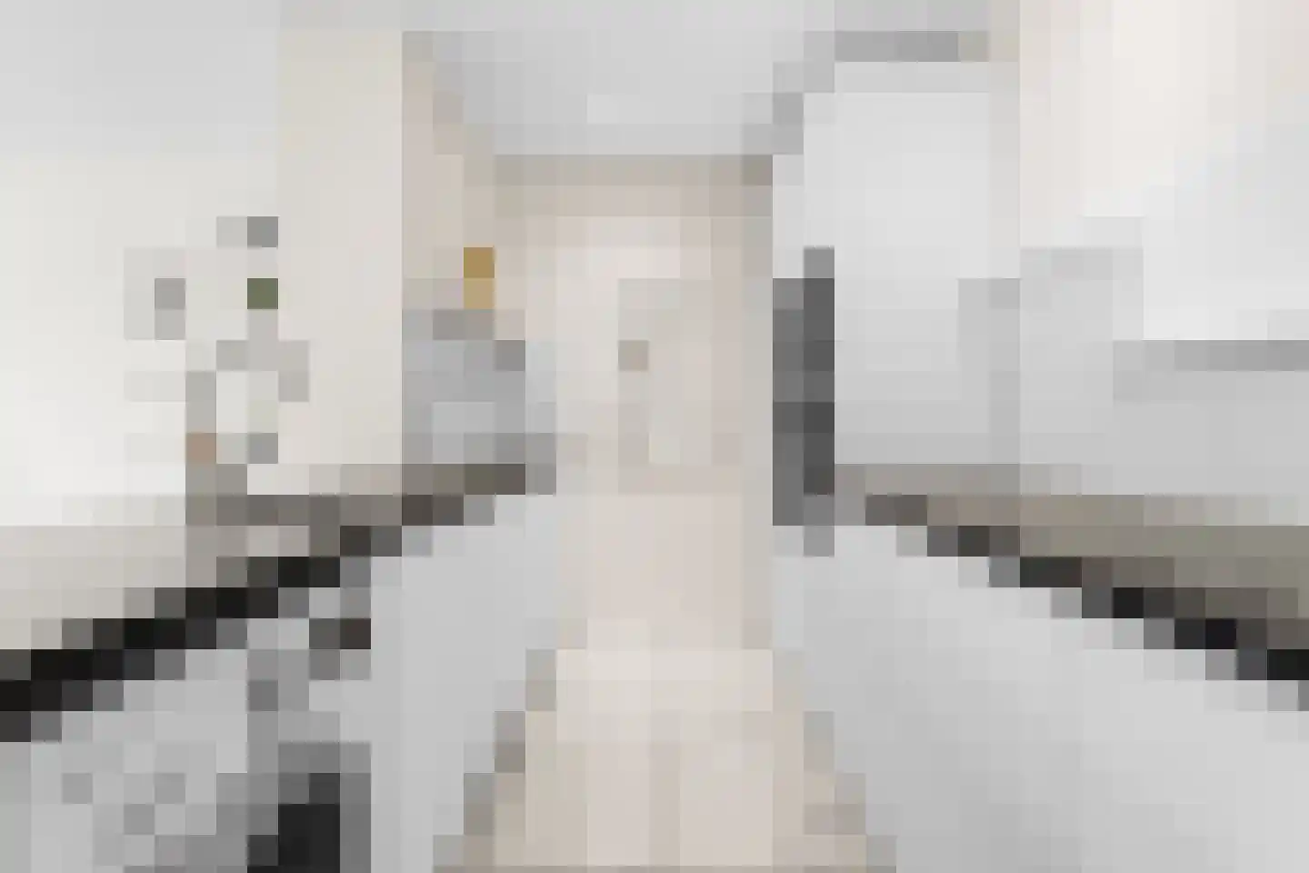 Leksmondhof 36 Amsterdam thumbnail 10