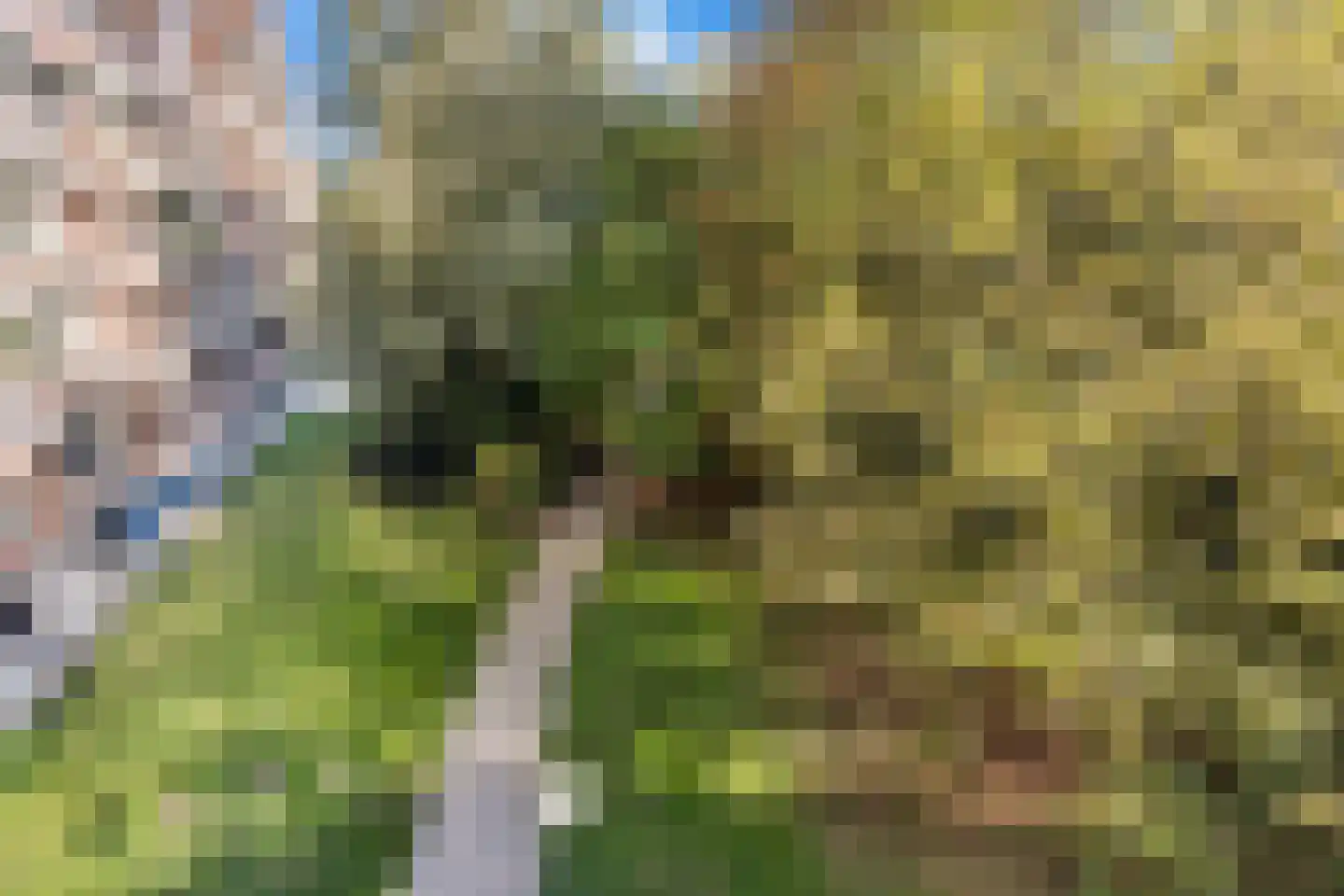 Leksmondhof 36 Amsterdam thumbnail 24