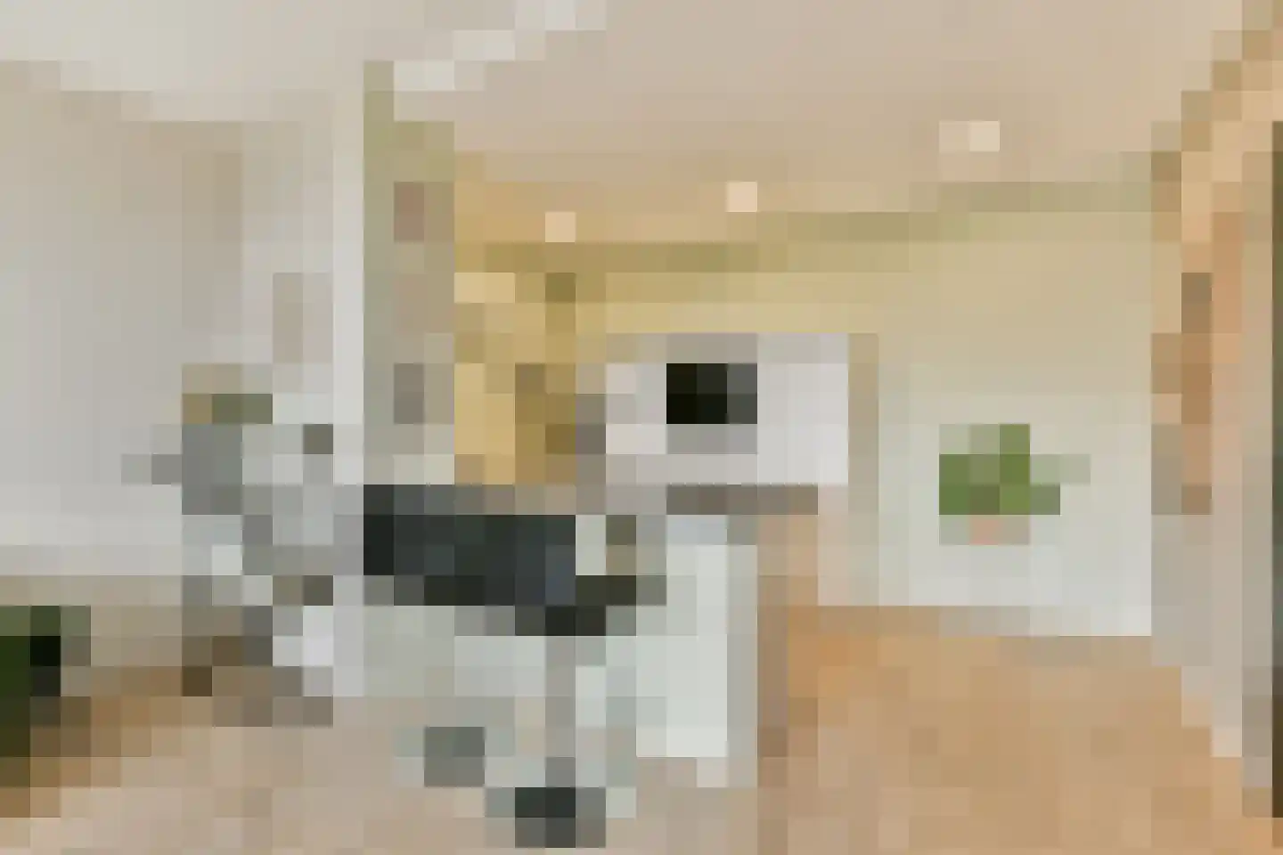 Leksmondhof 42 Amsterdam thumbnail 10