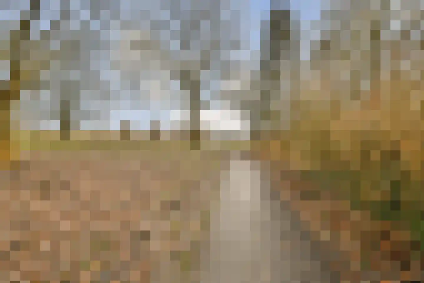 Leksmondhof 42 Amsterdam thumbnail 27