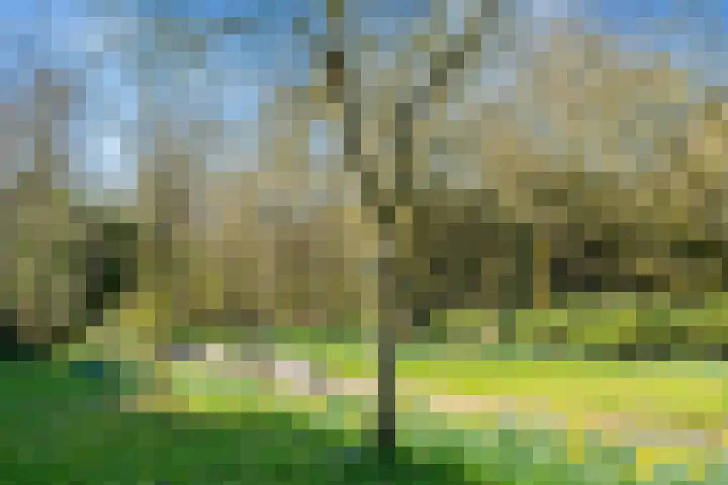 Leksmondhof 44 Amsterdam thumbnail 32