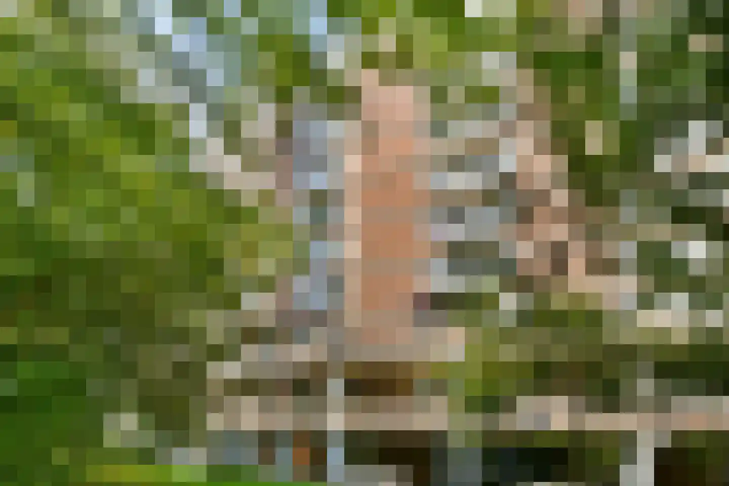Leksmondhof 87 Amsterdam thumbnail 4