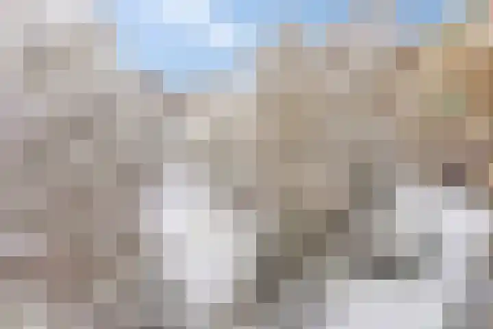 Leksmondhof 89 Amsterdam thumbnail 11